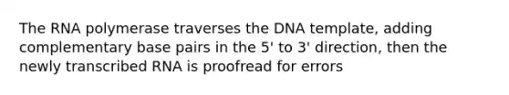 The RNA polymerase traverses the DNA template, adding complementary base pairs in the 5' to 3' direction, then the newly transcribed RNA is proofread for errors