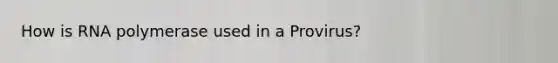How is RNA polymerase used in a Provirus?