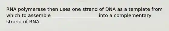 RNA polymerase then uses one strand of DNA as a template from which to assemble ___________________ into a complementary strand of RNA.