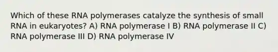 Which of these RNA polymerases catalyze the synthesis of small RNA in eukaryotes? A) RNA polymerase I B) RNA polymerase II C) RNA polymerase III D) RNA polymerase IV