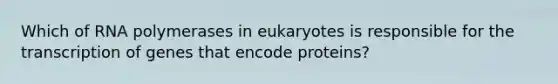 Which of RNA polymerases in eukaryotes is responsible for the transcription of genes that encode proteins?