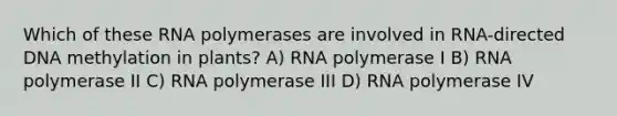 Which of these RNA polymerases are involved in RNA-directed DNA methylation in plants? A) RNA polymerase I B) RNA polymerase II C) RNA polymerase III D) RNA polymerase IV