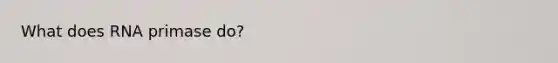 What does RNA primase do?