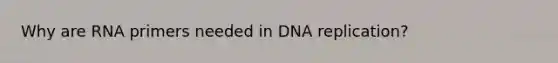 Why are RNA primers needed in DNA replication?