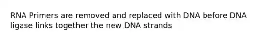 RNA Primers are removed and replaced with DNA before DNA ligase links together the new DNA strands