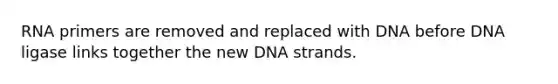 RNA primers are removed and replaced with DNA before DNA ligase links together the new DNA strands.