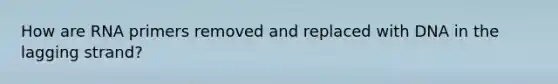 How are RNA primers removed and replaced with DNA in the lagging strand?