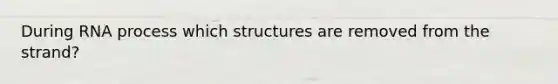 During RNA process which structures are removed from the strand?