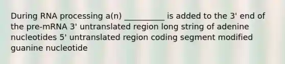 During RNA processing a(n) __________ is added to the 3' end of the pre-mRNA 3' untranslated region long string of adenine nucleotides 5' untranslated region coding segment modified guanine nucleotide