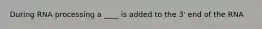 During RNA processing a ____ is added to the 3' end of the RNA