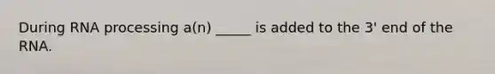 During <a href='https://www.questionai.com/knowledge/kapY3KpASG-rna-processing' class='anchor-knowledge'>rna processing</a> a(n) _____ is added to the 3' end of the RNA.