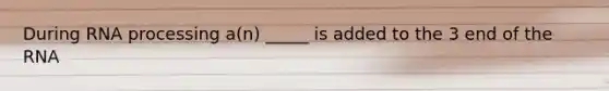 During RNA processing a(n) _____ is added to the 3 end of the RNA