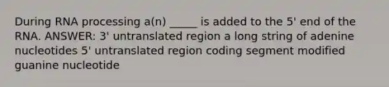 During <a href='https://www.questionai.com/knowledge/kapY3KpASG-rna-processing' class='anchor-knowledge'>rna processing</a> a(n) _____ is added to the 5' end of the RNA. ANSWER: 3' untranslated region a long string of adenine nucleotides 5' untranslated region coding segment modified guanine nucleotide