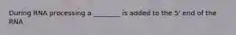 During RNA processing a ________ is added to the 5' end of the RNA