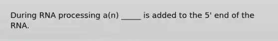 During <a href='https://www.questionai.com/knowledge/kapY3KpASG-rna-processing' class='anchor-knowledge'>rna processing</a> a(n) _____ is added to the 5' end of the RNA.