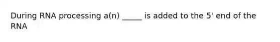 During RNA processing a(n) _____ is added to the 5' end of the RNA