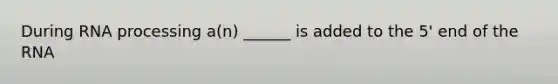 During <a href='https://www.questionai.com/knowledge/kapY3KpASG-rna-processing' class='anchor-knowledge'>rna processing</a> a(n) ______ is added to the 5' end of the RNA