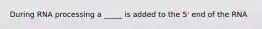 During RNA processing a _____ is added to the 5' end of the RNA