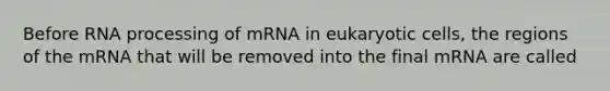 Before RNA processing of mRNA in eukaryotic cells, the regions of the mRNA that will be removed into the final mRNA are called