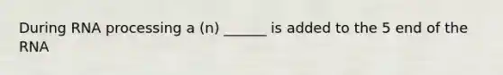 During RNA processing a (n) ______ is added to the 5 end of the RNA