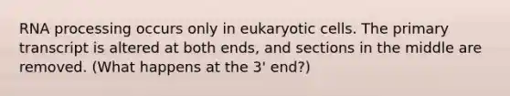 RNA processing occurs only in eukaryotic cells. The primary transcript is altered at both ends, and sections in the middle are removed. (What happens at the 3' end?)