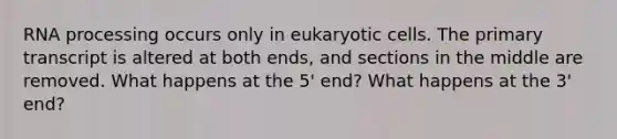 RNA processing occurs only in eukaryotic cells. The primary transcript is altered at both ends, and sections in the middle are removed. What happens at the 5' end? What happens at the 3' end?