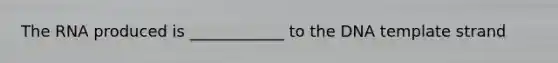 The RNA produced is ____________ to the DNA template strand