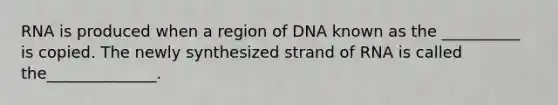 RNA is produced when a region of DNA known as the __________ is copied. The newly synthesized strand of RNA is called the______________.