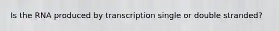 Is the RNA produced by transcription single or double stranded?