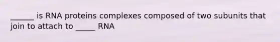 ______ is RNA proteins complexes composed of two subunits that join to attach to _____ RNA