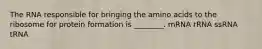 The RNA responsible for bringing the amino acids to the ribosome for protein formation is ________. mRNA rRNA ssRNA tRNA