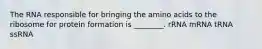 The RNA responsible for bringing the amino acids to the ribosome for protein formation is ________. rRNA mRNA tRNA ssRNA