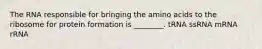 The RNA responsible for bringing the amino acids to the ribosome for protein formation is ________. tRNA ssRNA mRNA rRNA