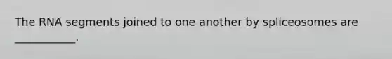 The RNA segments joined to one another by spliceosomes are ___________.