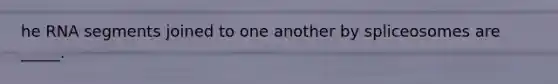 he RNA segments joined to one another by spliceosomes are _____.