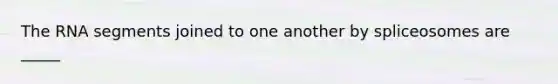 The RNA segments joined to one another by spliceosomes are _____