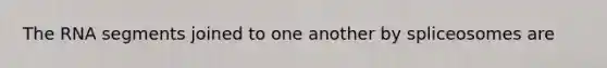 The RNA segments joined to one another by spliceosomes are