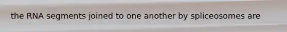 the RNA segments joined to one another by spliceosomes are