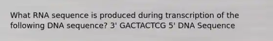 What RNA sequence is produced during transcription of the following DNA sequence? 3' GACTACTCG 5' DNA Sequence