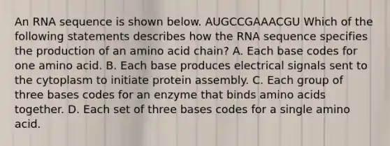 An RNA sequence is shown below. AUGCCGAAACGU Which of the following statements describes how the RNA sequence specifies the production of an amino acid chain? A. Each base codes for one amino acid. B. Each base produces electrical signals sent to the cytoplasm to initiate protein assembly. C. Each group of three bases codes for an enzyme that binds amino acids together. D. Each set of three bases codes for a single amino acid.