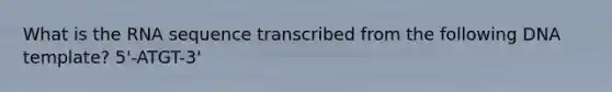 What is the RNA sequence transcribed from the following DNA template? 5'-ATGT-3'