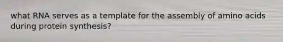 what RNA serves as a template for the assembly of <a href='https://www.questionai.com/knowledge/k9gb720LCl-amino-acids' class='anchor-knowledge'>amino acids</a> during protein synthesis?