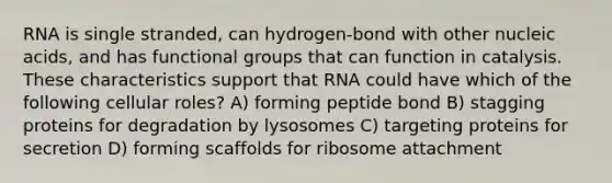 RNA is single stranded, can hydrogen-bond with other nucleic acids, and has functional groups that can function in catalysis. These characteristics support that RNA could have which of the following cellular roles? A) forming peptide bond B) stagging proteins for degradation by lysosomes C) targeting proteins for secretion D) forming scaffolds for ribosome attachment