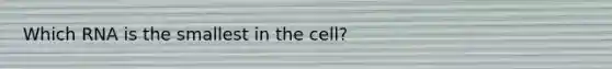 Which RNA is the smallest in the cell?