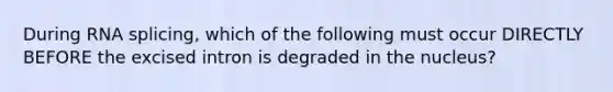 During RNA splicing, which of the following must occur DIRECTLY BEFORE the excised intron is degraded in the nucleus?