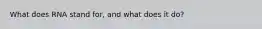 What does RNA stand for, and what does it do?