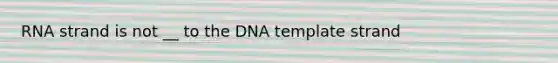 RNA strand is not __ to the DNA template strand