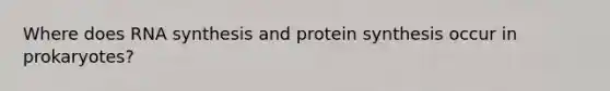 Where does RNA synthesis and protein synthesis occur in prokaryotes?