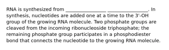 RNA is synthesized from _________________ _________________. In synthesis, nucleotides are added one at a time to the 3'-OH group of the growing RNA molecule. Two phosphate groups are cleaved from the incoming ribonucleoside triphosphate; the remaining phosphate group participates in a phosphodiester bond that connects the nucleotide to the growing RNA molecule.