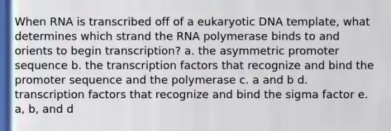 When RNA is transcribed off of a eukaryotic DNA template, what determines which strand the RNA polymerase binds to and orients to begin transcription? a. the asymmetric promoter sequence b. the transcription factors that recognize and bind the promoter sequence and the polymerase c. a and b d. transcription factors that recognize and bind the sigma factor e. a, b, and d